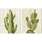 Front Yard Cactus by Silvia Vassileva 12" x 15" Canvas Wall Art (Set of 2)
